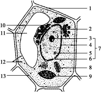 Fig.02